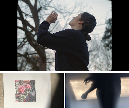 Alexandra gestures towards the sky. Trees are in the background. Below are artistic images of shadows.