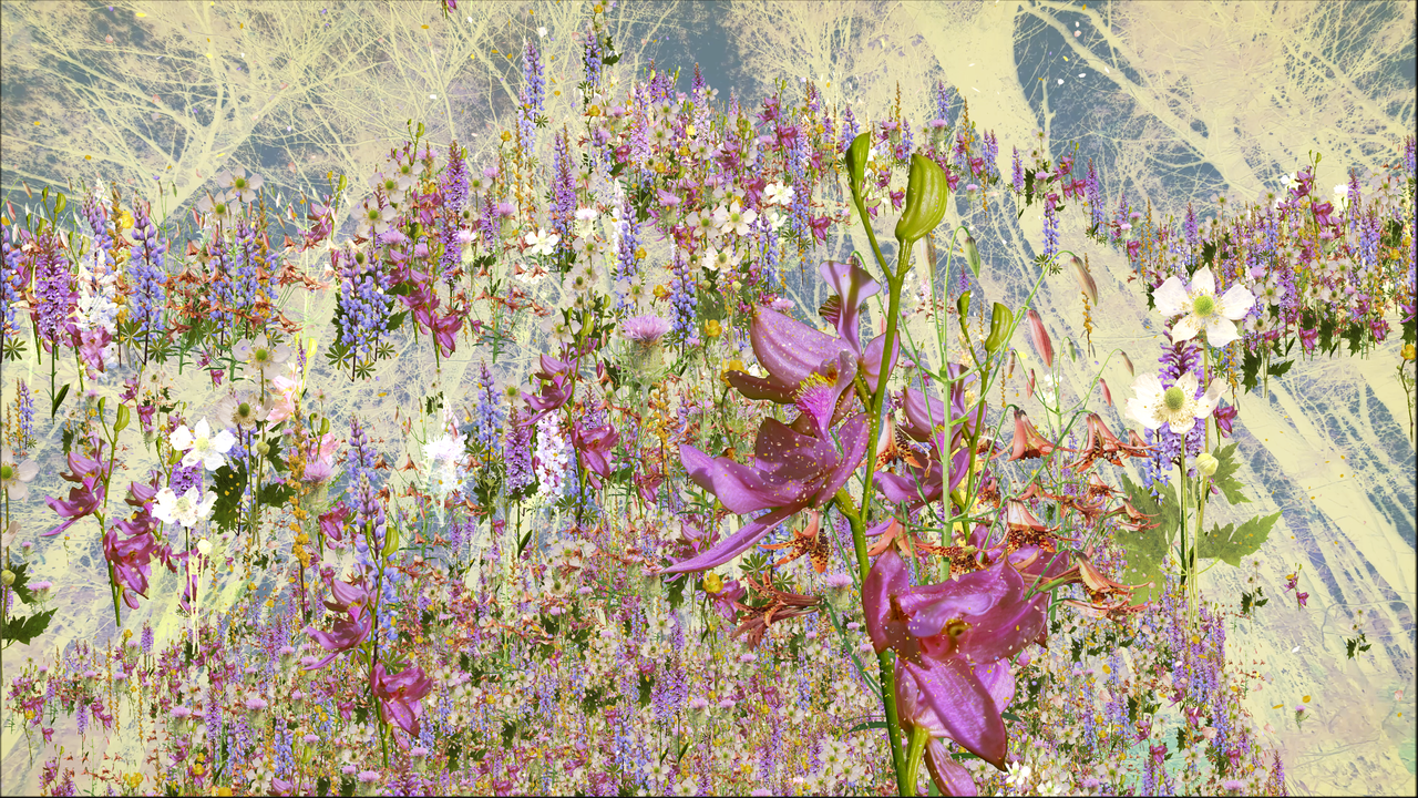 In Search of Thoreau's Flowers | Gregg Museum of Art + Design